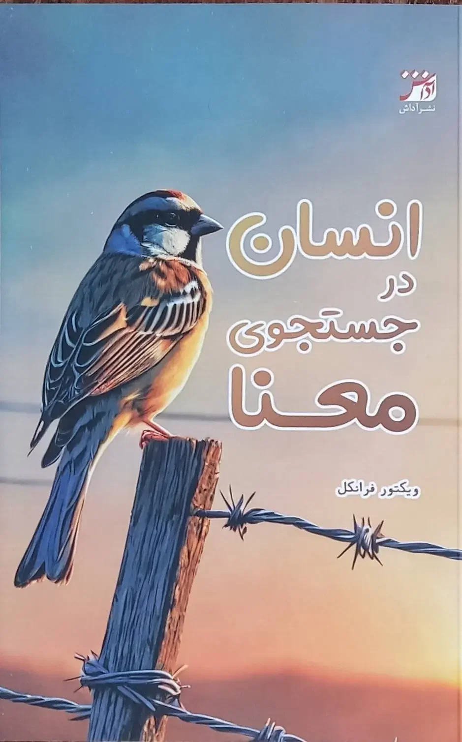 انسان در جستجوی معنا